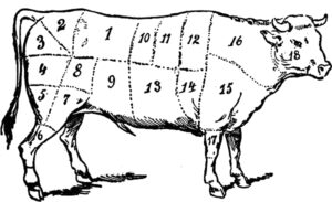cuts-of-meat-beef