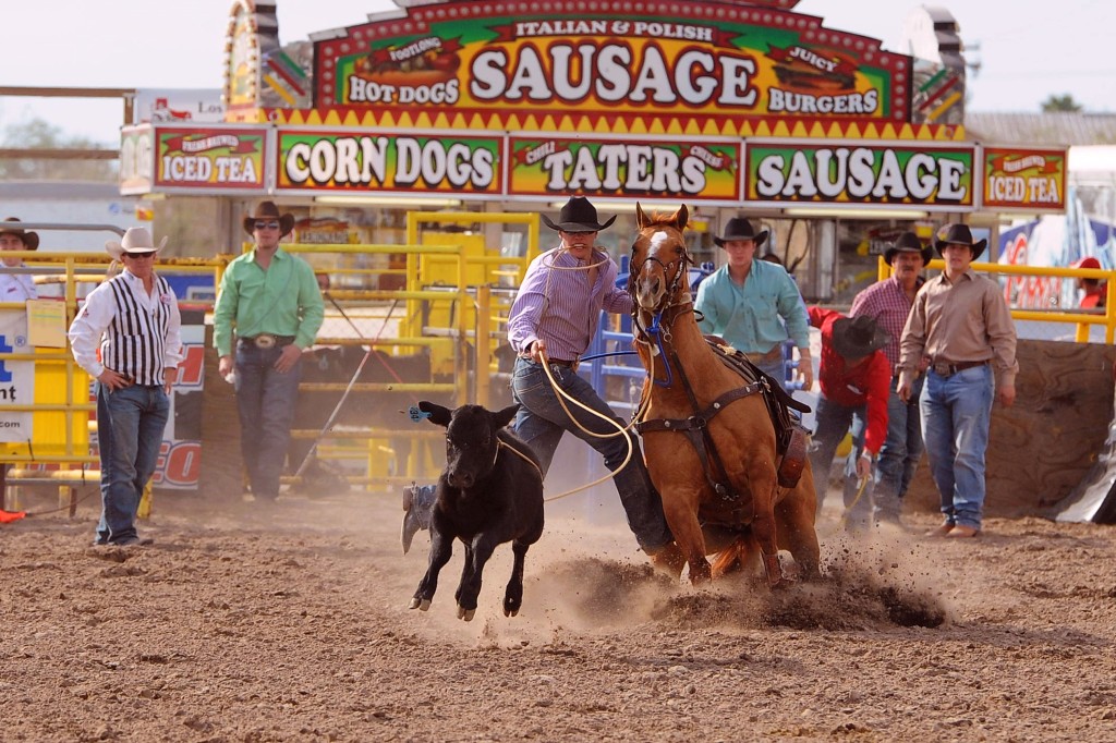 Top notch competitors and livestock will be at the 25th Annual PRCA Rodeo in Los Fresnos again this year. The audience can enjoy great calf-roping (above), barrel racing, bull dogging, team roping, bareback and saddle bronc riding and the ever popular bull riding.  Award winning Stock Contractor Stace Smith will provide the livestock and produce the rodeo events.  Photo: Rex Hewitt/2013 File Photo